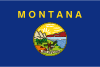 Montana Vlag